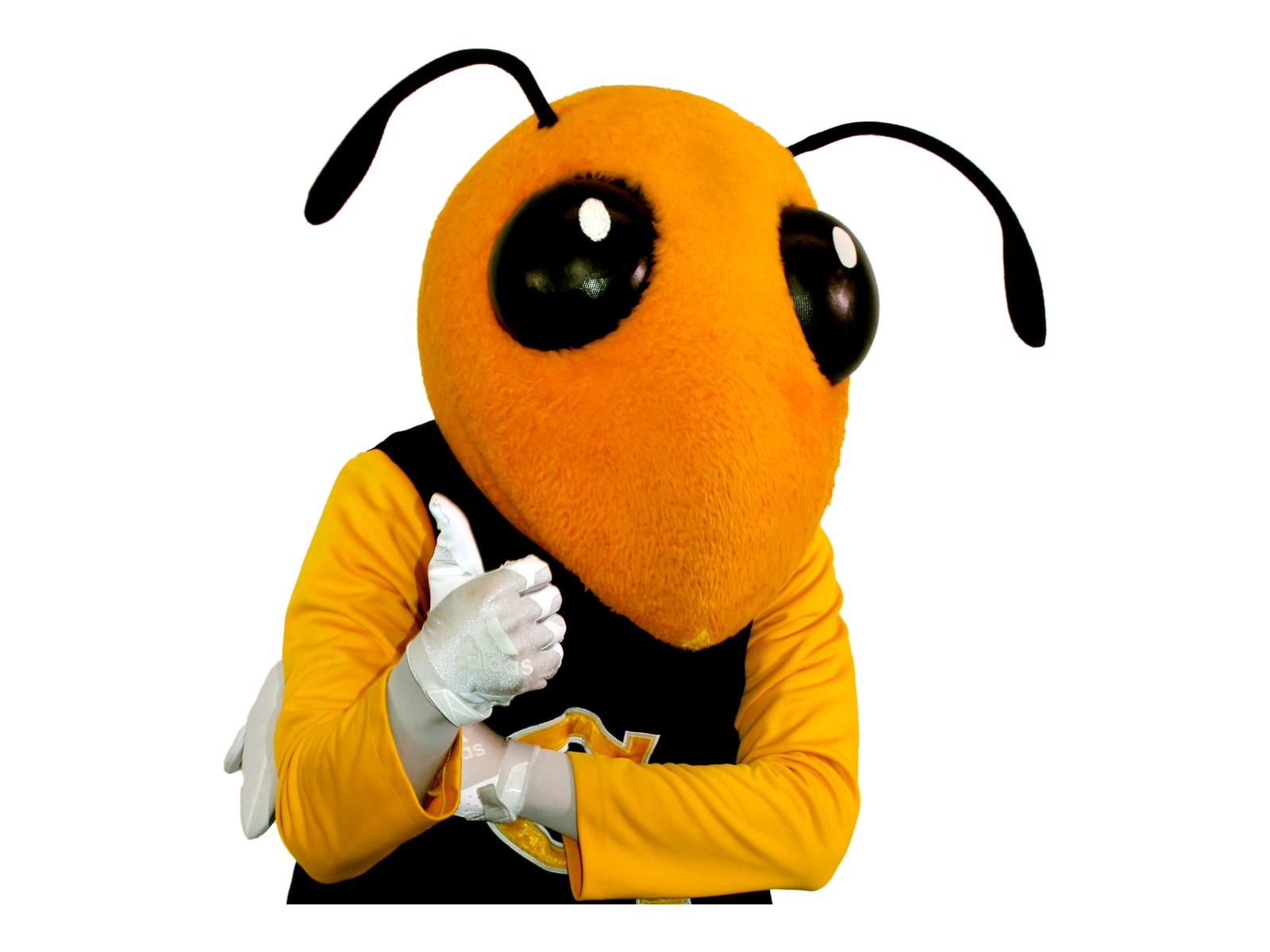 The 2026-2027 BuzzFunds Request Form is live!